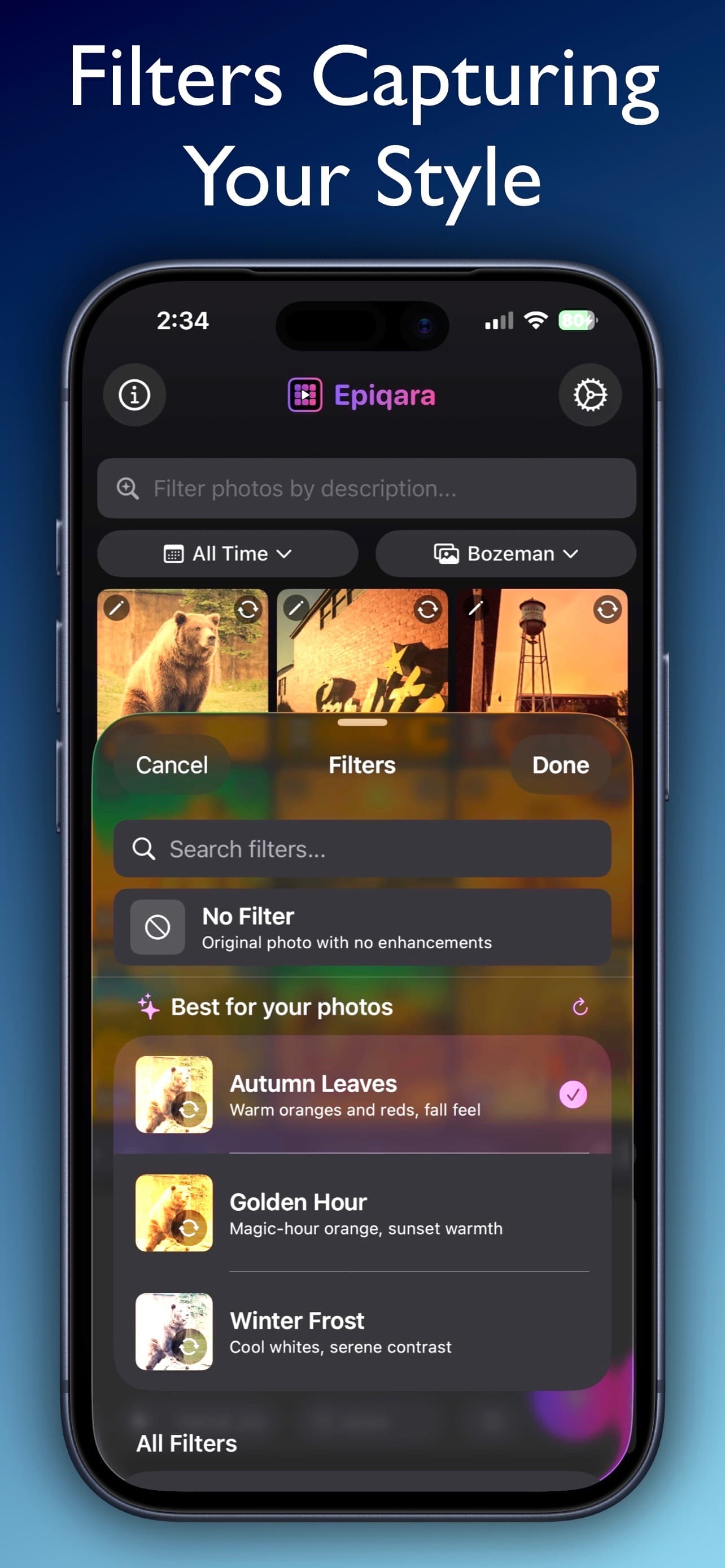 Epiqara screenshot 4