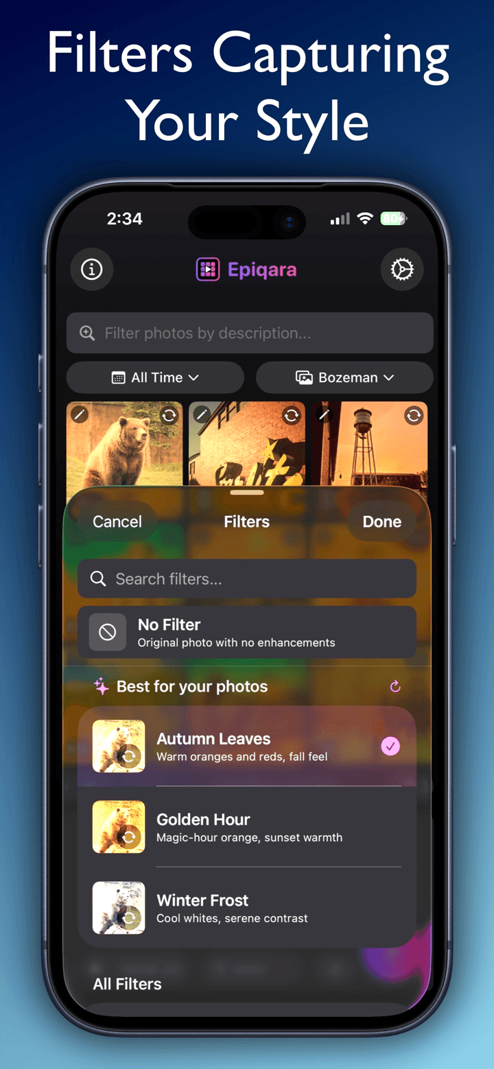 Epiqara screenshot 4